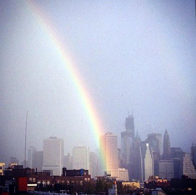 बिंदास अभिनेत्री पायल रोहतगी की शोख अदाएं... | 'Hot-Hot'