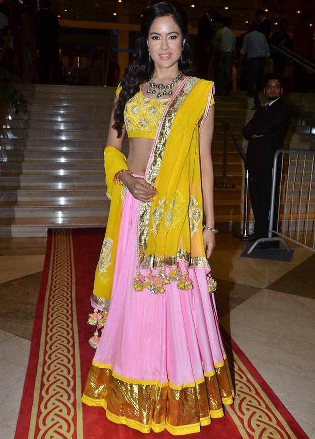 SIIA 2012 में सितारों का जलवा | दक्षिण का जलवा