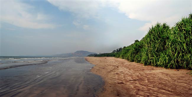 महाराष्ट्र में दिखती है प्राकृतिक खूबसूरती