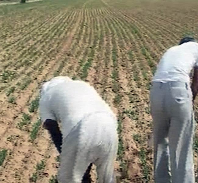 23 जुलाई 2012: तस्वीरों में दिनभर की बड़ी खबरें | पढ़ें