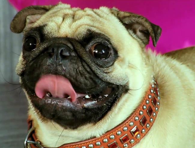 'क्या सुपर कूल हैं हम' का फर्स्‍ट लुक | फिल्म का प्रमोशन