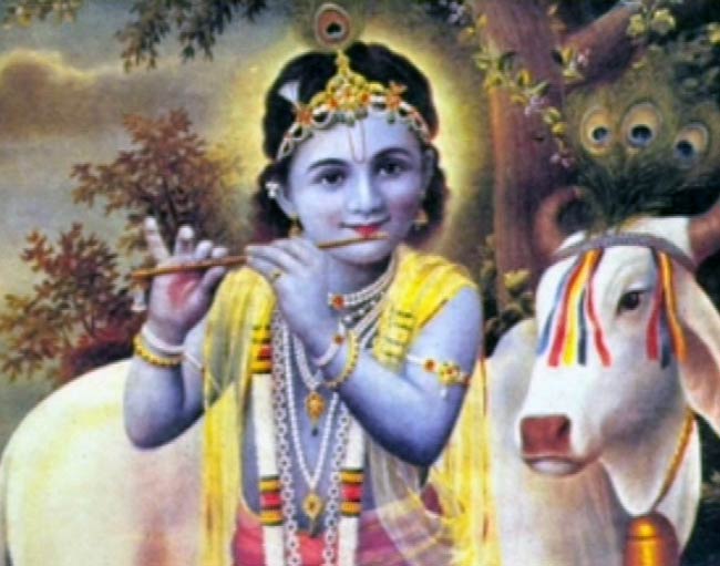 जन्‍माष्‍टमी की उमंग पर दही-हांडी के रंग | जन्‍माष्‍टमी की धूम