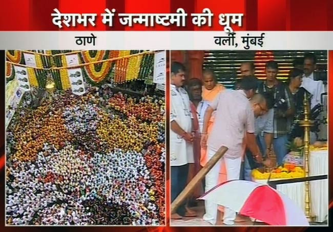 जन्‍माष्‍टमी की उमंग पर दही-हांडी के रंग | जन्‍माष्‍टमी की धूम