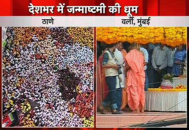 जन्‍माष्‍टमी की उमंग पर दही-हांडी के रंग | जन्‍माष्‍टमी की धूम