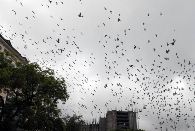 जयपुर में भारी बारिश, शहर हुआ पानी-पानी