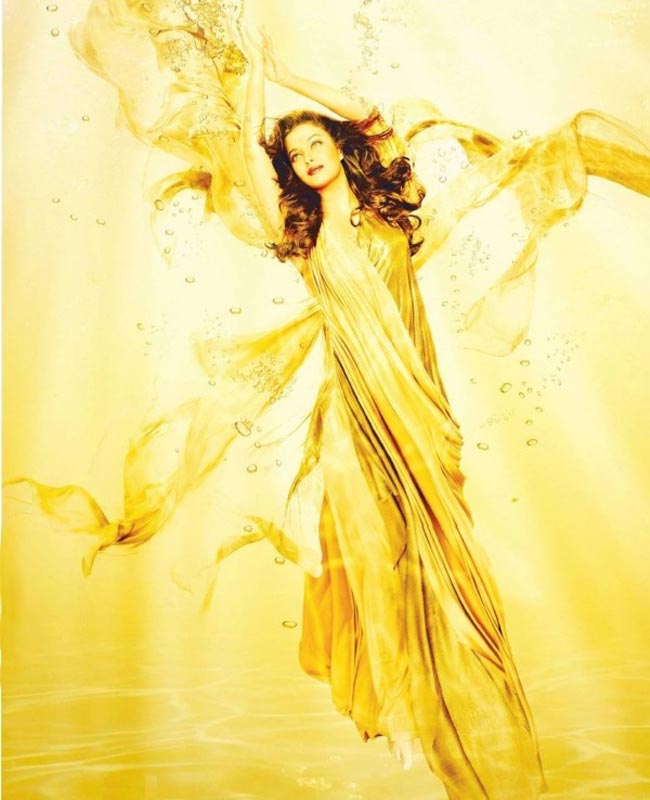 'लक्ष्‍मी' के रूप में ऐश्‍वर्या राय बच्‍चन | ऐश्‍वर्या पर विशेष