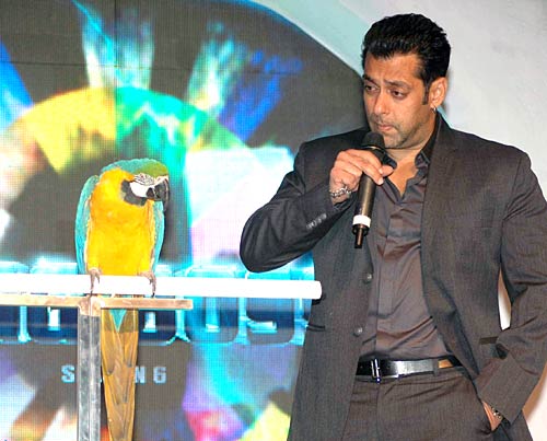 सलमान फिर लेकर आएंगे बिग बॉस | सलमान पर विशेष