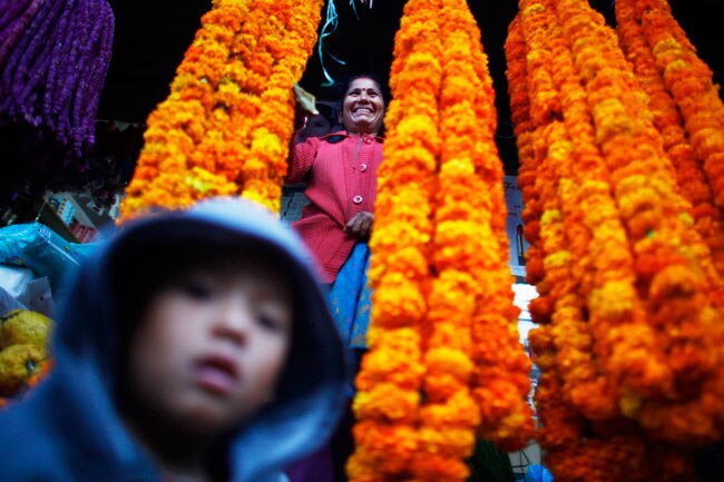 दीपावली के मौके पर देशभर में धूम | पढ़ें