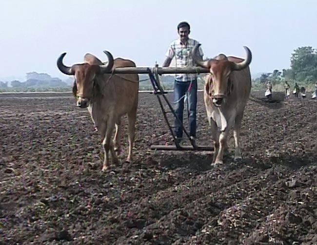 गुजरात विधानसभा चुनाव 2012 में सौराष्ट्र का रण