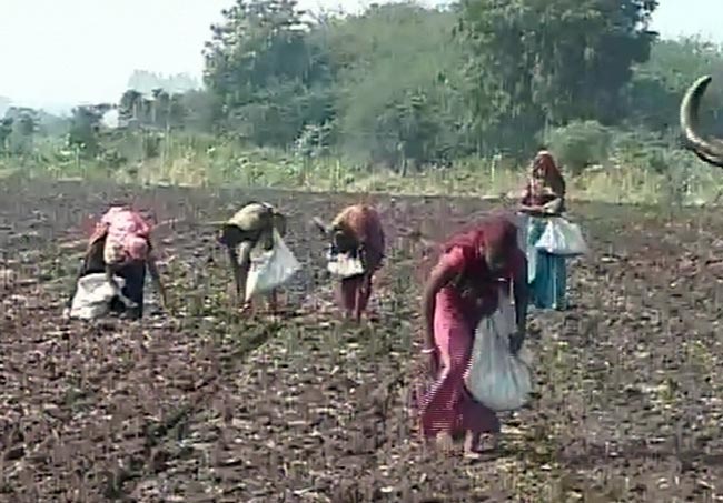 गुजरात विधानसभा चुनाव 2012 में सौराष्ट्र का रण