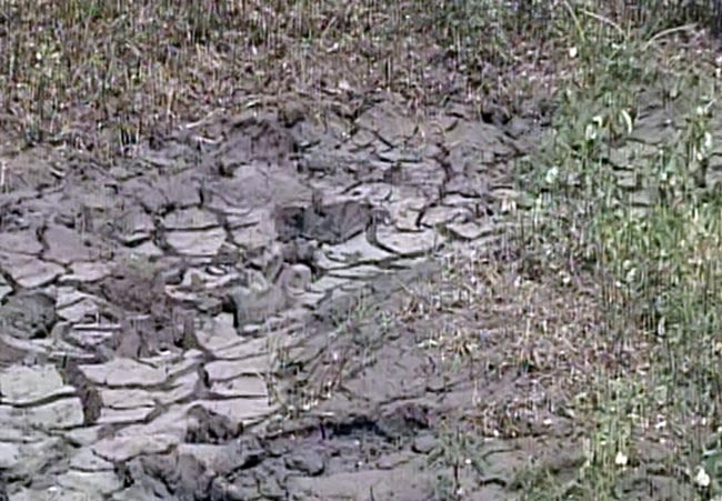 गुजरात विधानसभा चुनाव 2012 में सौराष्ट्र का रण