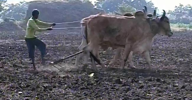 गुजरात विधानसभा चुनाव 2012 में सौराष्ट्र का रण