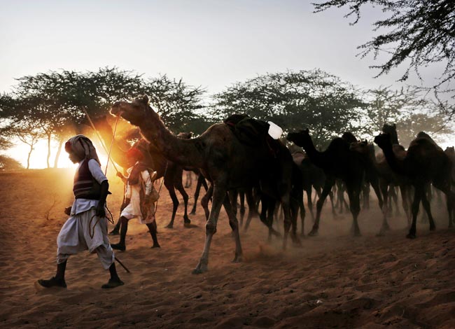 23 नवंबर 2012: तस्वीरों में दिनभर की बड़ी खबरें | पढ़ें