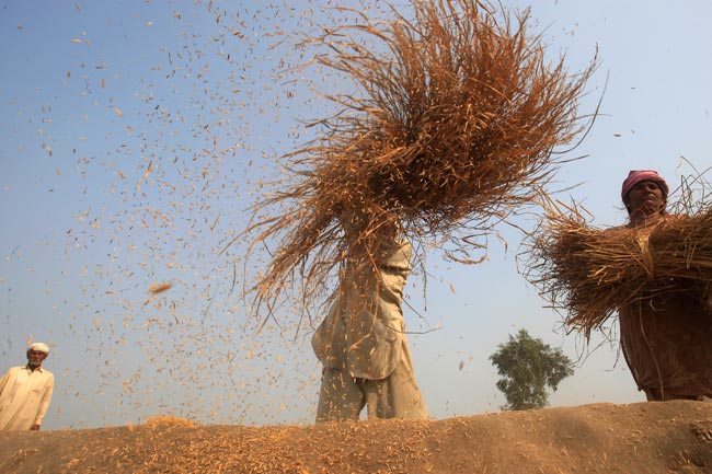 खौफ के साए में विक्षिप्तता की ओर बढ़ता पाकिस्तान!