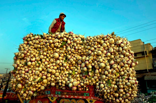 खौफ के साए में विक्षिप्तता की ओर बढ़ता पाकिस्तान!