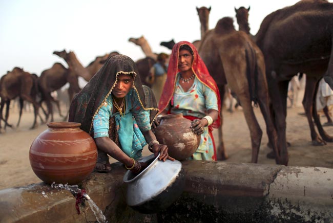 मशहूर पुष्कर मेला शुरू, उमड़ पड़ी भीड़