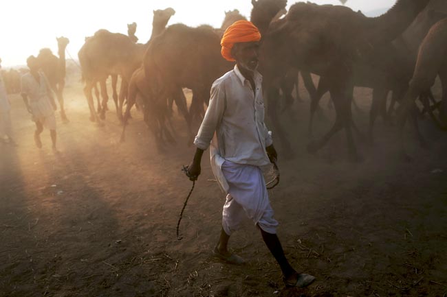 मशहूर पुष्कर मेला शुरू, उमड़ पड़ी भीड़