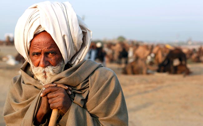 मशहूर पुष्कर मेला शुरू, उमड़ पड़ी भीड़