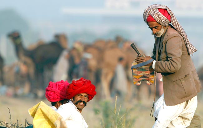 मशहूर पुष्कर मेला शुरू, उमड़ पड़ी भीड़