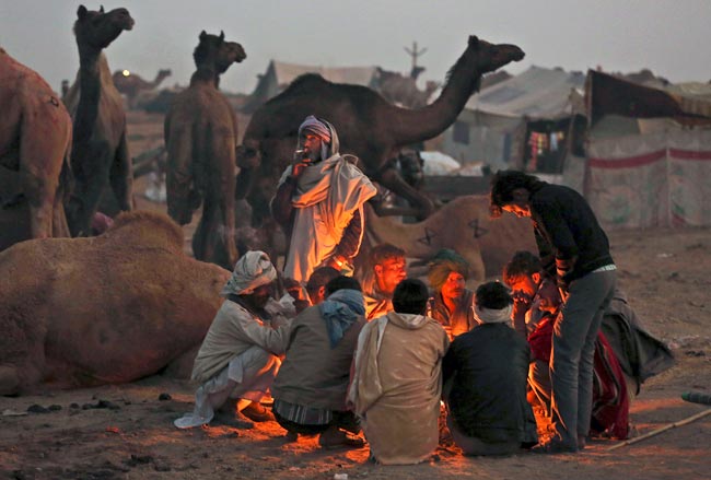 मशहूर पुष्कर मेला शुरू, उमड़ पड़ी भीड़