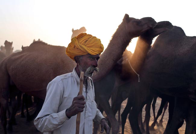 मशहूर पुष्कर मेला शुरू, उमड़ पड़ी भीड़