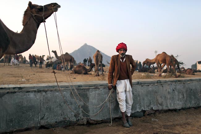 मशहूर पुष्कर मेला शुरू, उमड़ पड़ी भीड़