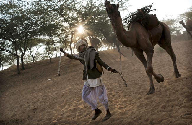 मशहूर पुष्कर मेला शुरू, उमड़ पड़ी भीड़