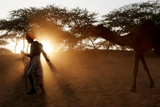 मशहूर पुष्कर मेला शुरू, उमड़ पड़ी भीड़