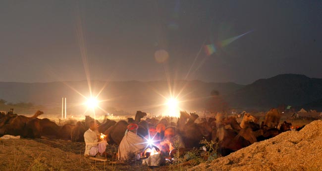 मशहूर पुष्कर मेला शुरू, उमड़ पड़ी भीड़