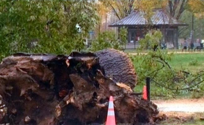 देखें 'सैंडी' के कहर और विध्वंस की तस्वीरें