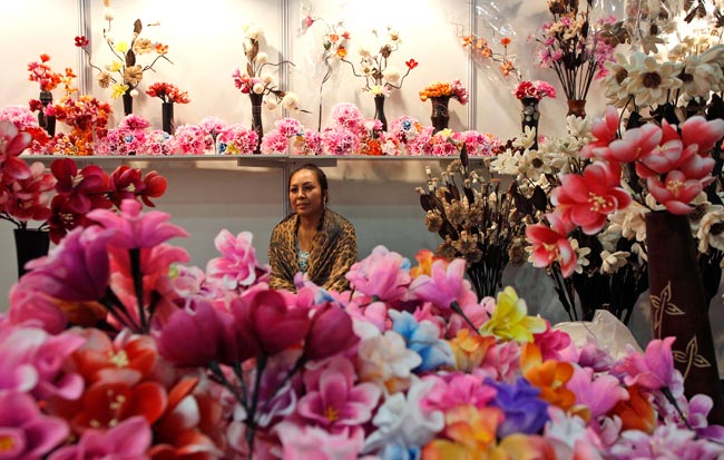 नए अनुभव दे गया बहुरंगी ट्रेड फेयर  |  इको फ्रैंडली घर