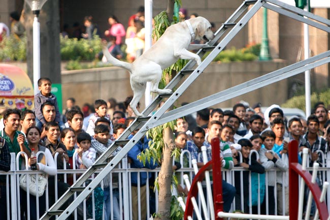 नए अनुभव दे गया बहुरंगी ट्रेड फेयर  |  इको फ्रैंडली घर