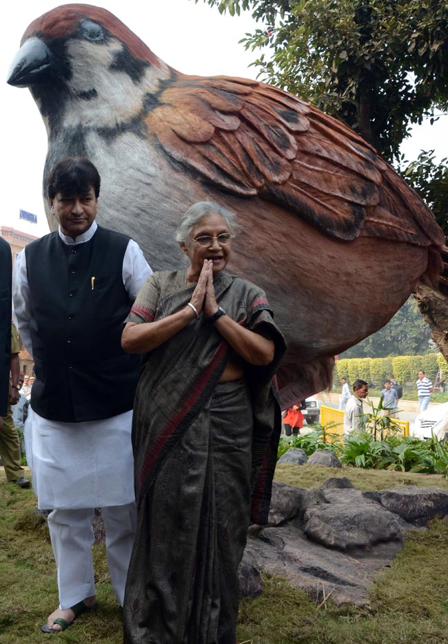 नए अनुभव दे गया बहुरंगी ट्रेड फेयर  |  इको फ्रैंडली घर