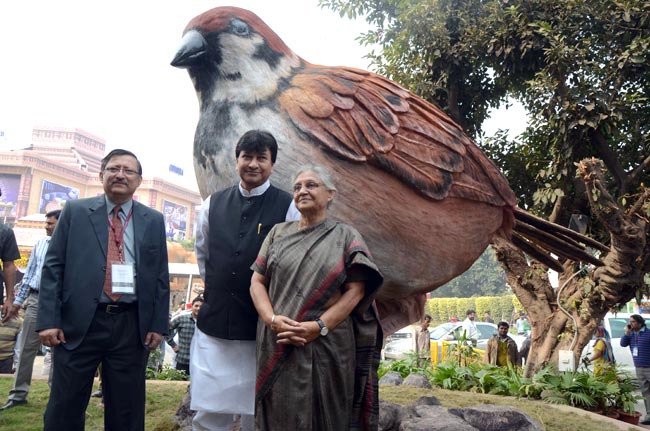 नए अनुभव दे गया बहुरंगी ट्रेड फेयर  |  इको फ्रैंडली घर