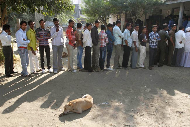 देखें गुजरात विधानसभा चुनाव के दौरान मतदान की तस्वीरें