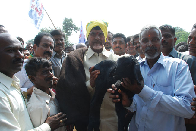 आम आदमी का दिल जीतने निकले चंद्रबाबू नायडू