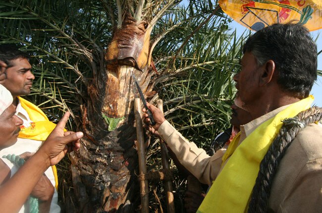 आम आदमी का दिल जीतने निकले चंद्रबाबू नायडू