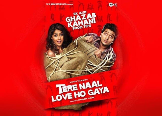 साल 2012 की फ्लॉप फिल्‍में...