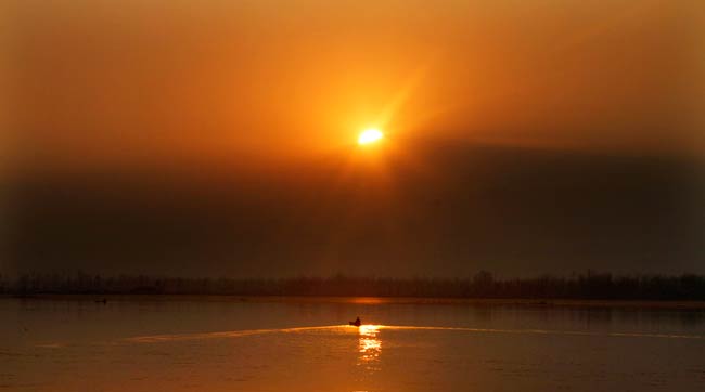 पूरी दुनिया ने किया नए साल का स्‍वागत | हॉट लियोन