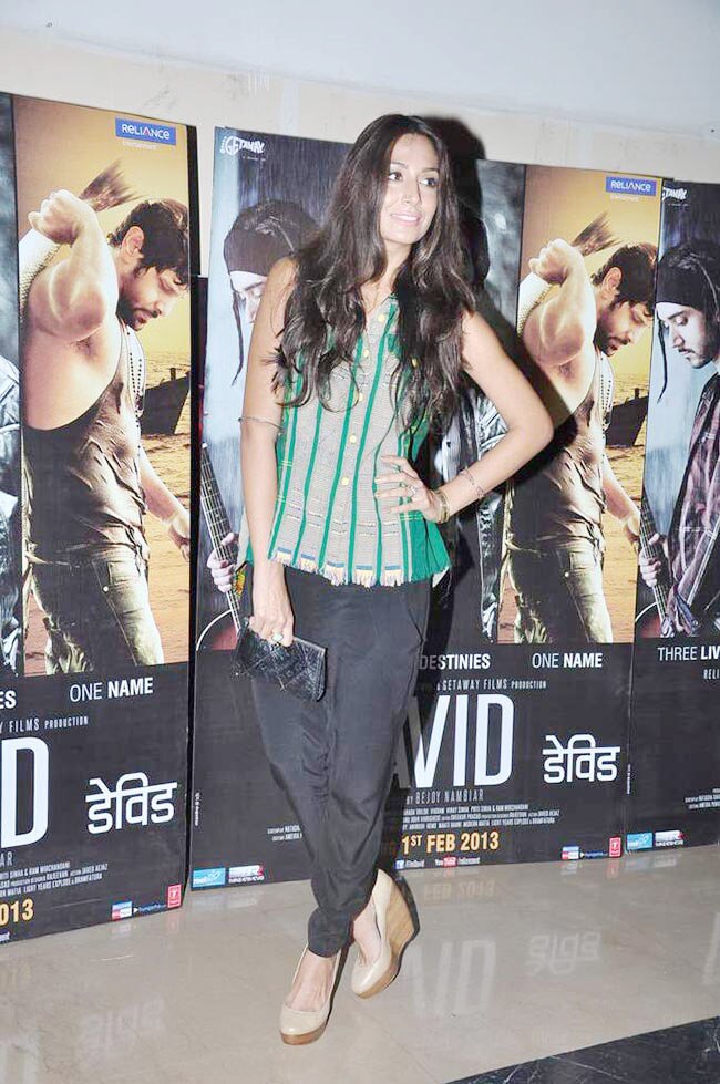 'डेविड' की प्रीमियर पार्टी में पहुंचे सितारे | बॉलीवुड 2013