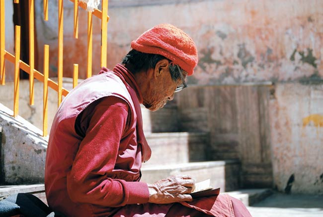 कैमरे में कैद हुई हिमाचल प्रदेश की खूबसूरती