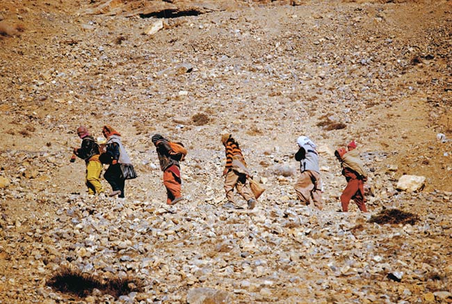 कैमरे में कैद हुई हिमाचल प्रदेश की खूबसूरती