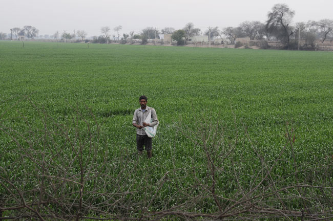 पाताल में मिला सरस्वती का पता | खास रिपोर्ट