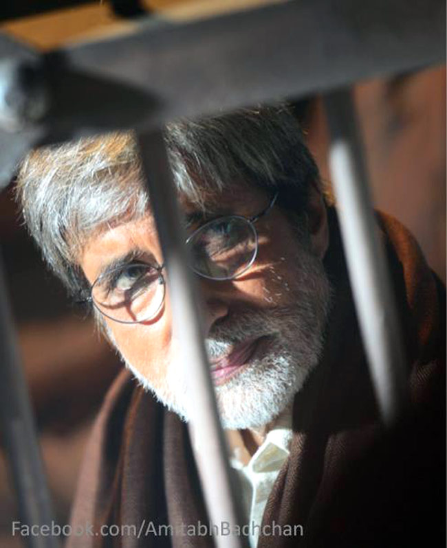 अमिताभ की 'सत्‍याग्रह' का दर्शकों को इंतजार | अनदेखे बिग बी