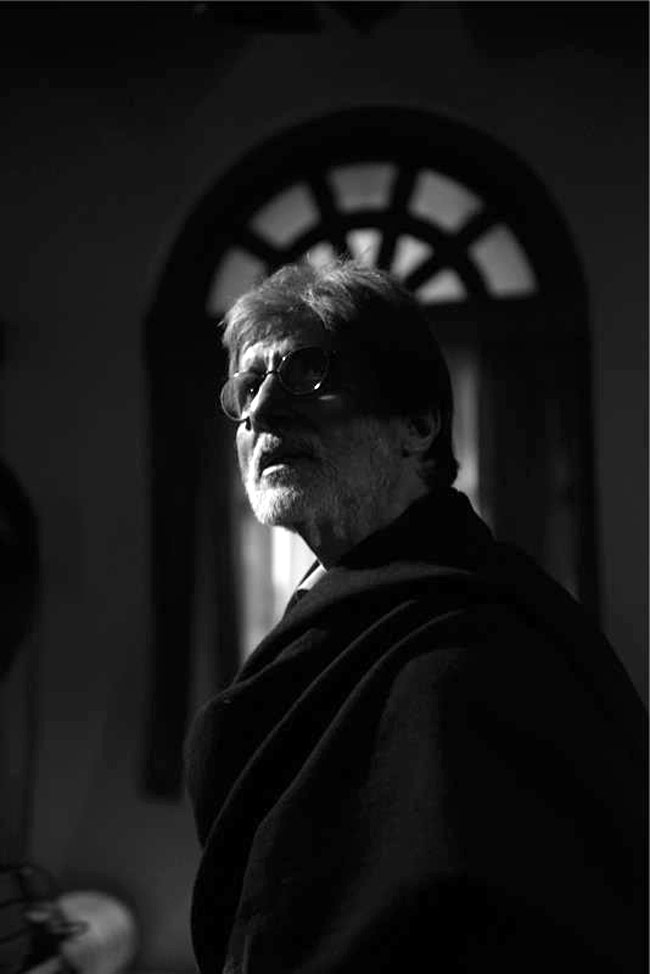 अमिताभ की 'सत्‍याग्रह' का दर्शकों को इंतजार | अनदेखे बिग बी