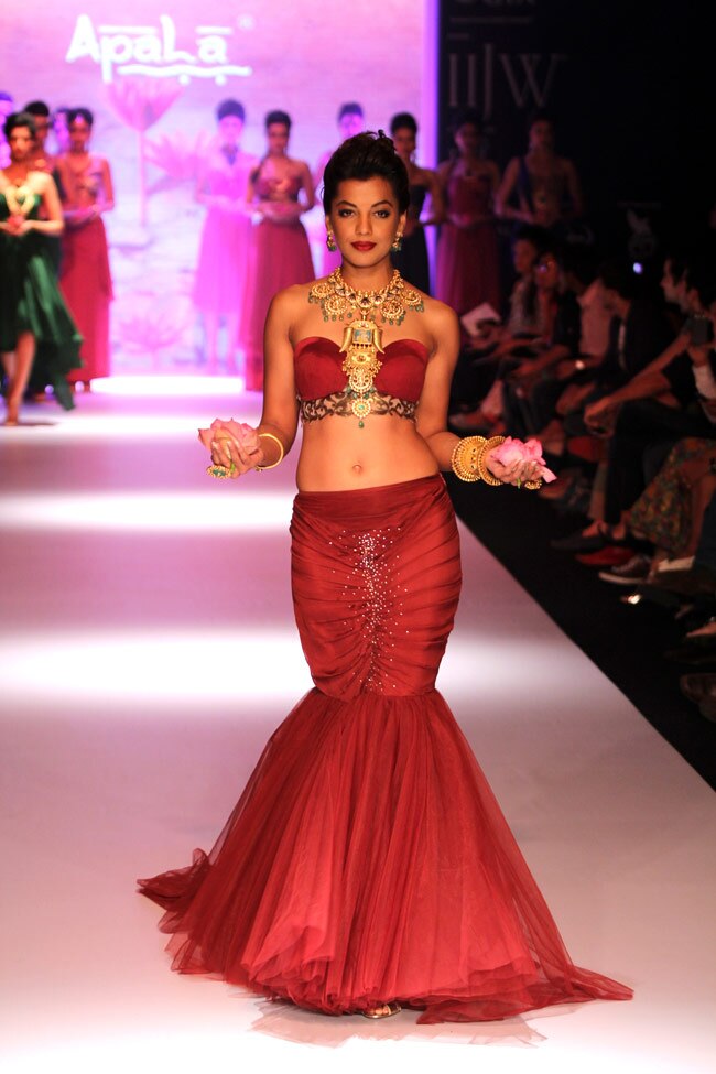 IIJW में बॉलीवुड सितारों का जलवा