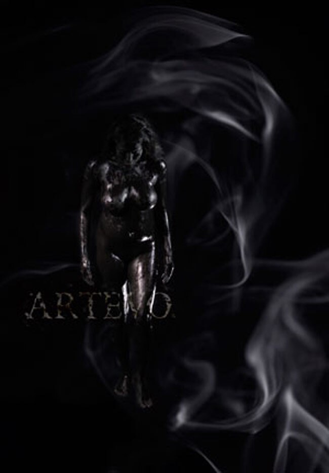 वीना मलिक ने बॉडी पर करवाई पेंटिंग | विवादित फोटो