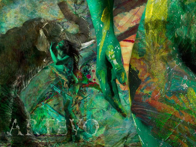 वीना मलिक ने बॉडी पर करवाई पेंटिंग | विवादित फोटो