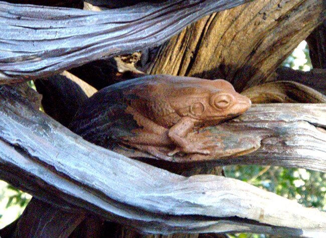 कभी देखी है ऐसी खूबसूरत कलाकृति?