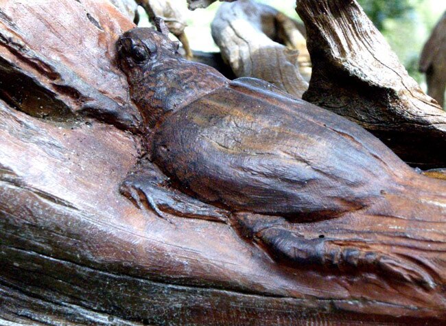 कभी देखी है ऐसी खूबसूरत कलाकृति?